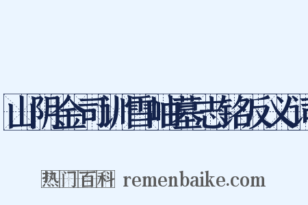 山阴金司训雪岫墓志铭反义词是什么意思的图片